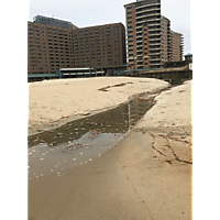 Dec 13-15 2019_KT_Virginia Beach image